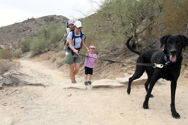 Hiking in the desert can be dangerous if you're not prepared